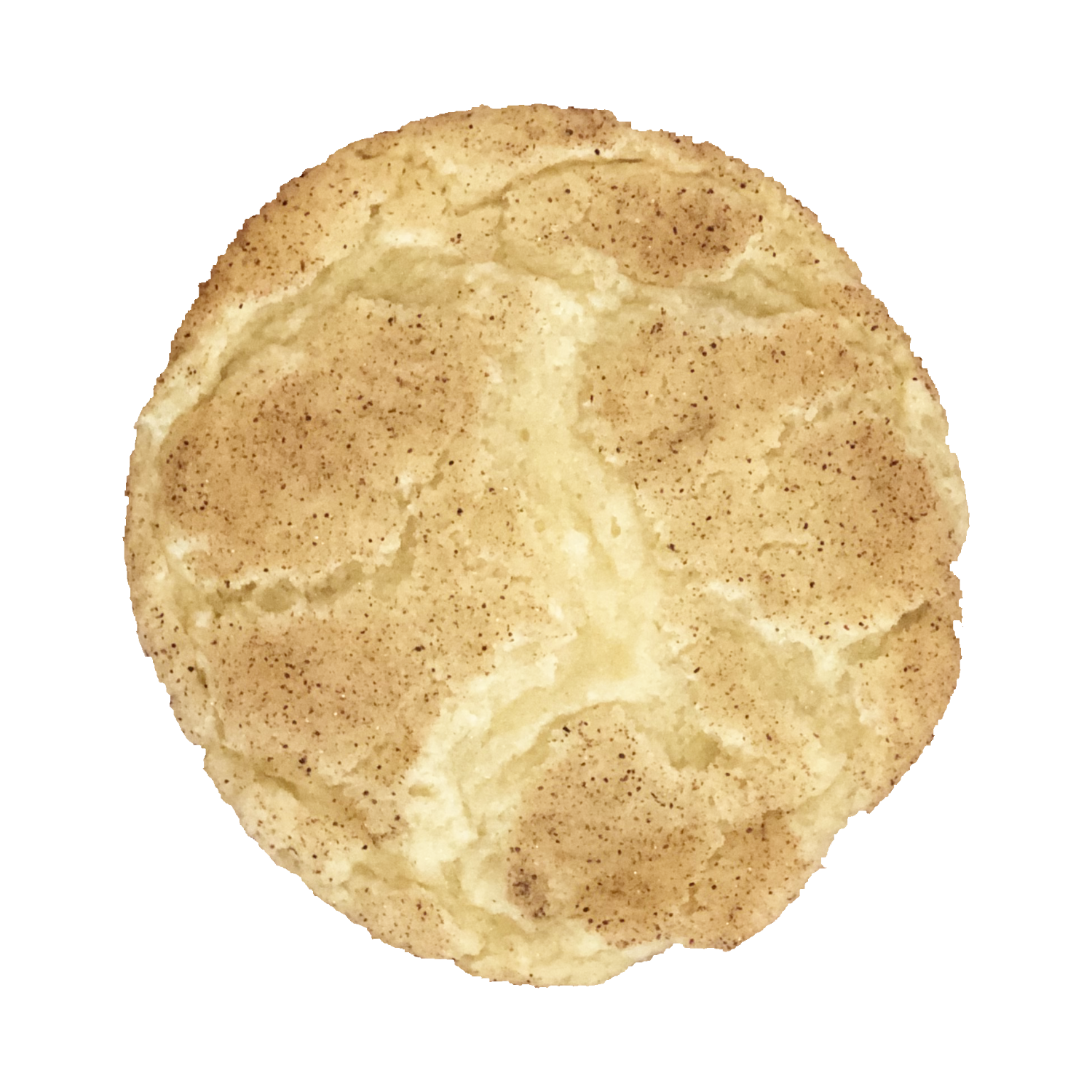 Snickerdoodle